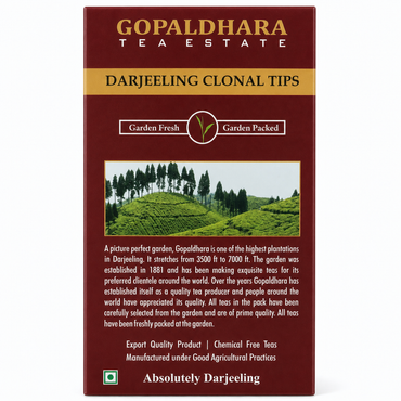 Gopaldhara Darjeeling Clonal Tips