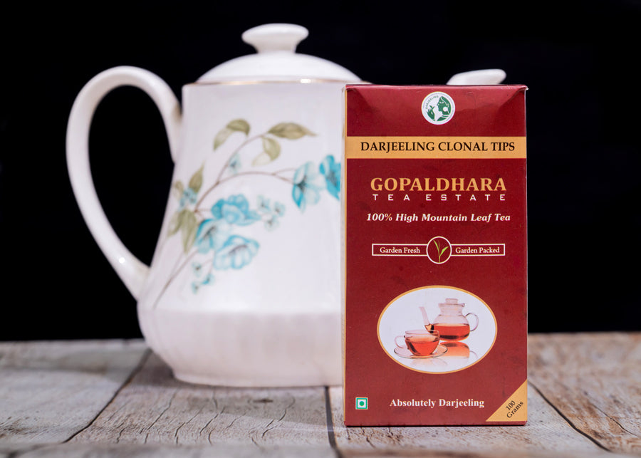 Gopaldhara Darjeeling Clonal Tips