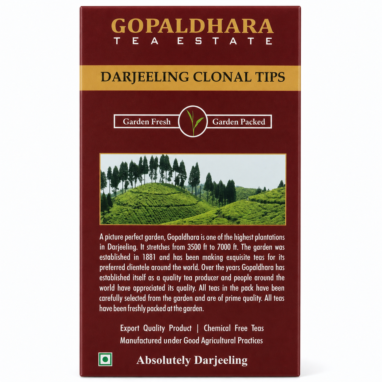 Gopaldhara Darjeeling Clonal Tips